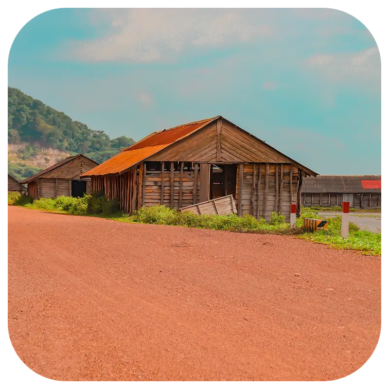 Agriculture - Élevage